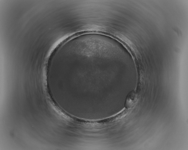 X0000111591120200907161448