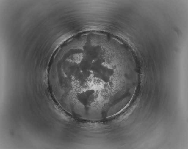 X0000111591121200907161448