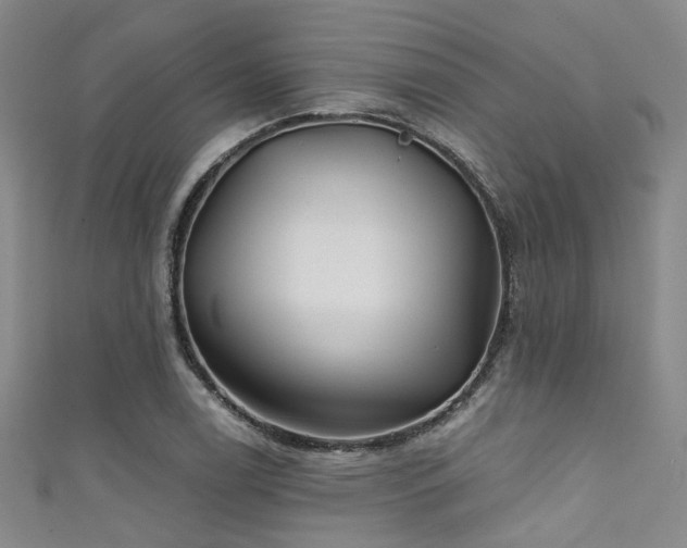 X0000111591122200907161448