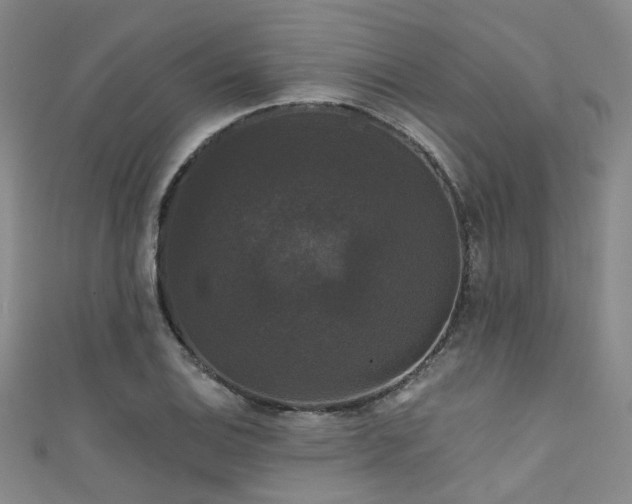 X0000111591124200907161448