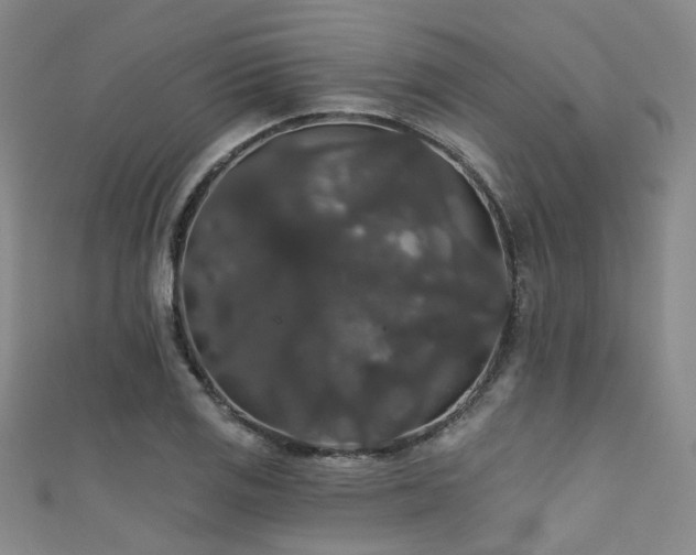 X0000111591125200907161448