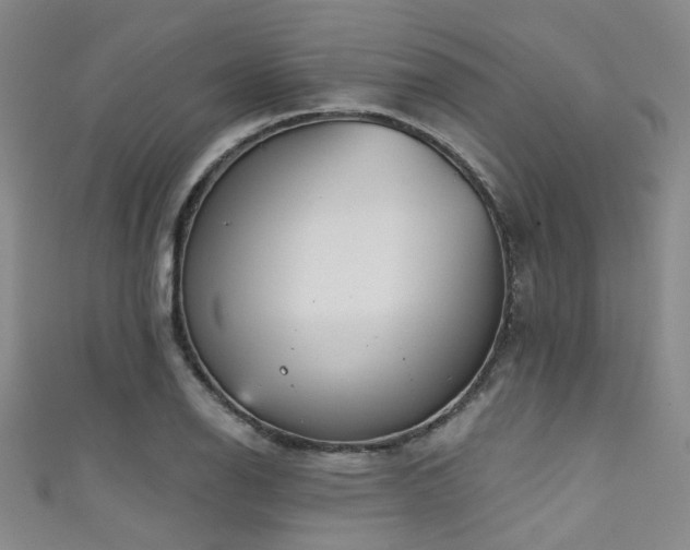 X0000111591126200907161448