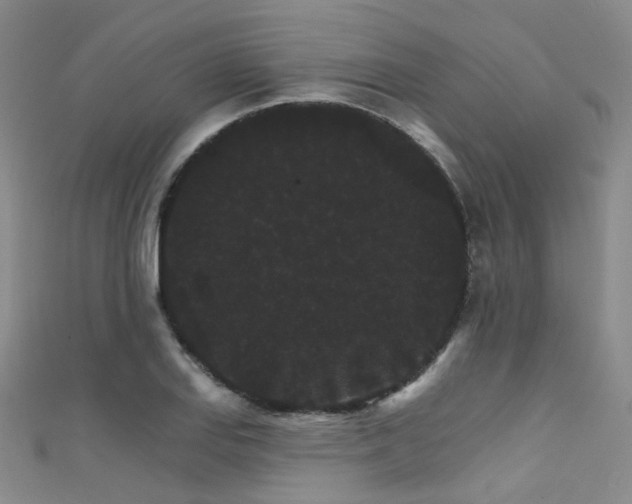 X0000111591127200907161448