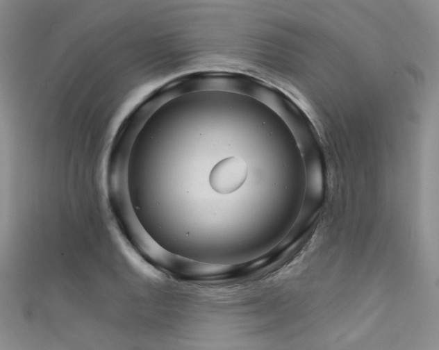 X0000111591128200907161448