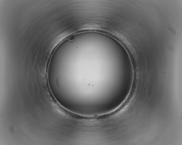 X0000111591129200907161448