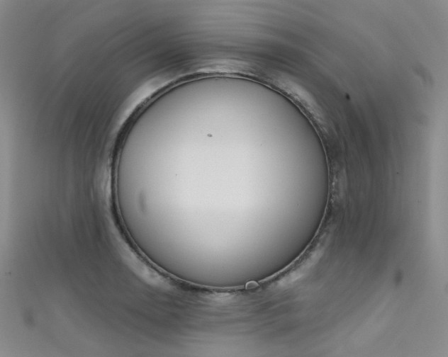 X0000111591130200907161448