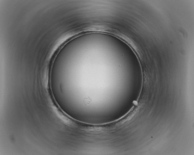 X0000111591131200907161448