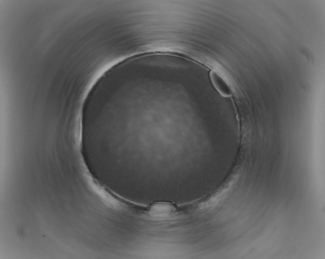 X0000111591132200907161448