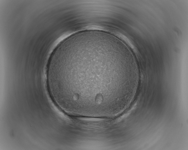 X0000111591133200907161448