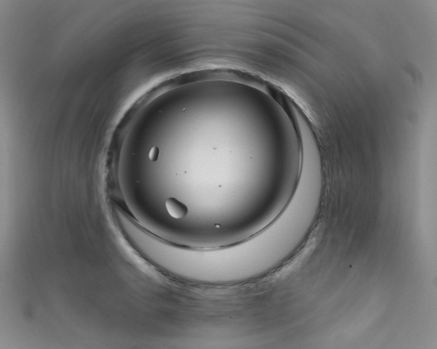 X0000111591134200907161448