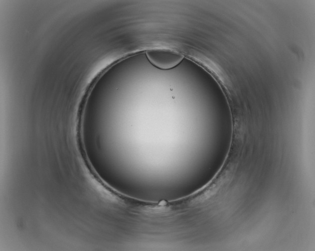 X0000111591135200907161448