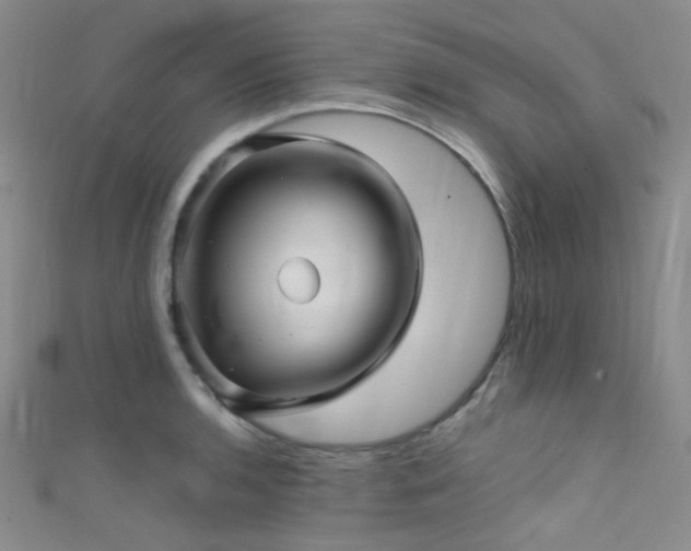 X0000111591136200907161448