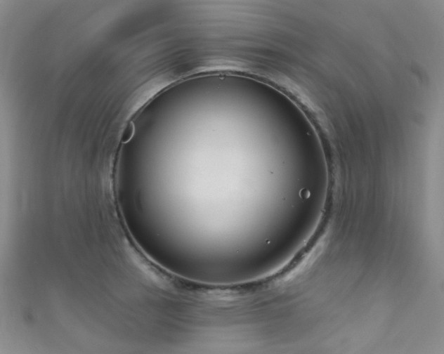 X0000111591137200907161448