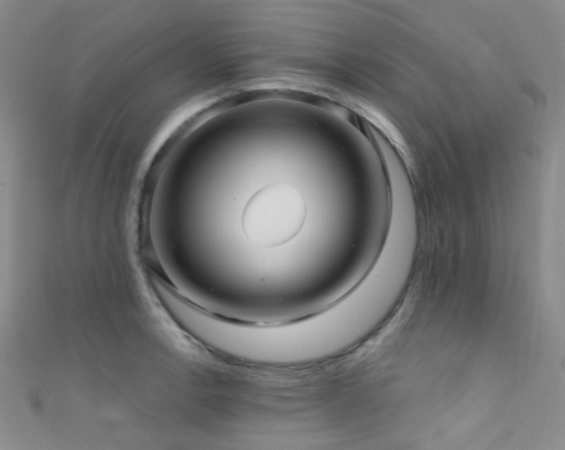 X0000111591138200907161448