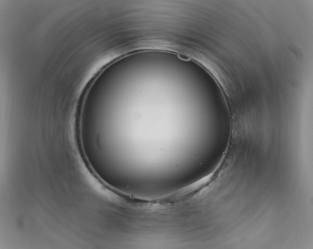 X0000111591139200907161448