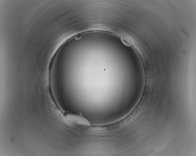 X0000111591140200907161448