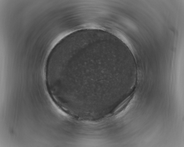 X0000111591141200907161448