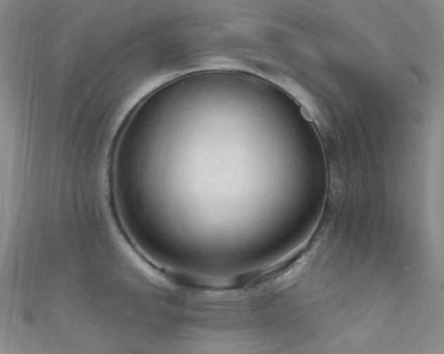 X0000111591142200907161448