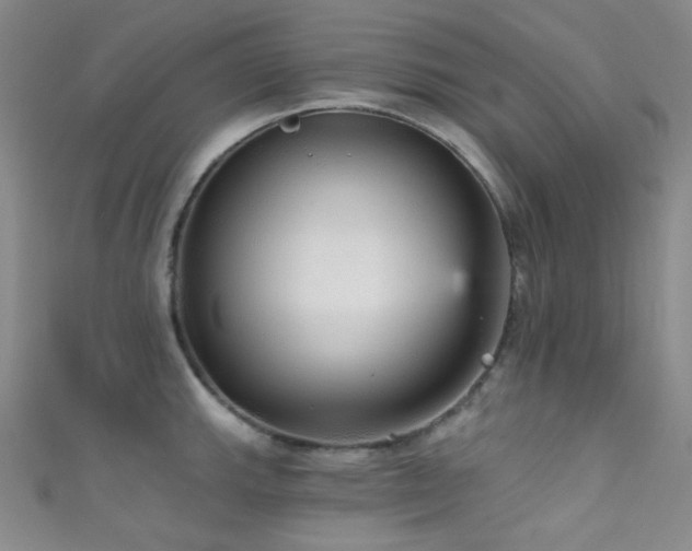 X0000111591143200907161448