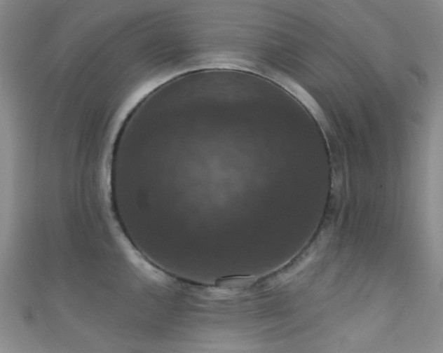 X0000111591144200907161448