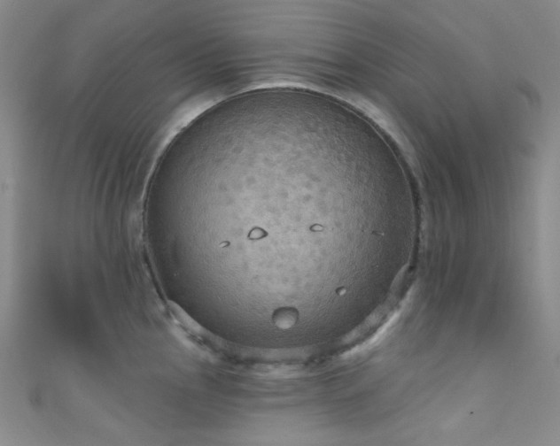 X0000111591145200907161448