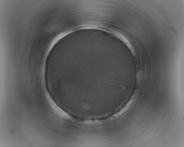 X0000111591146200907161448