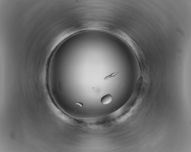 X0000111591147200907161448