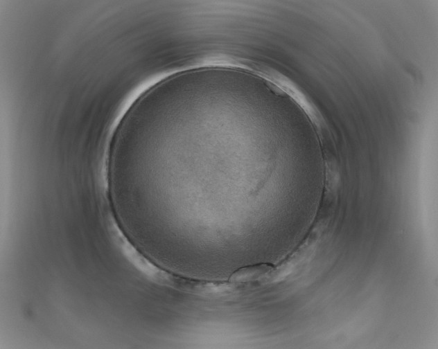 X0000111591148200907161448