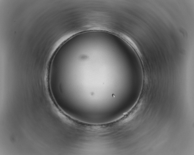 X0000111591149200907161448