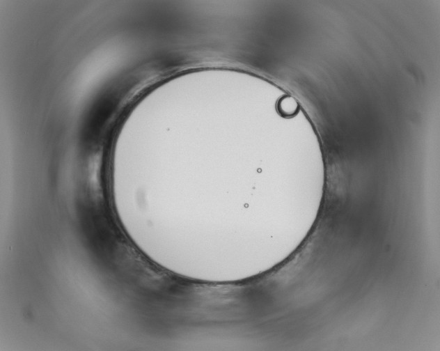 X0000111591150200907161448