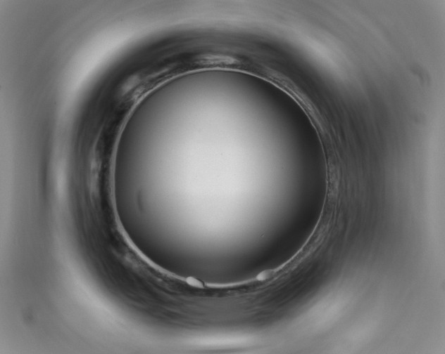 X0000111591151200907161448