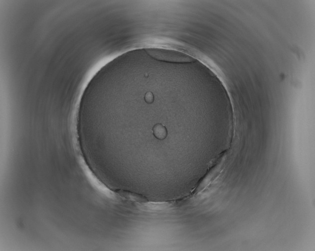 X0000111591152200907161448