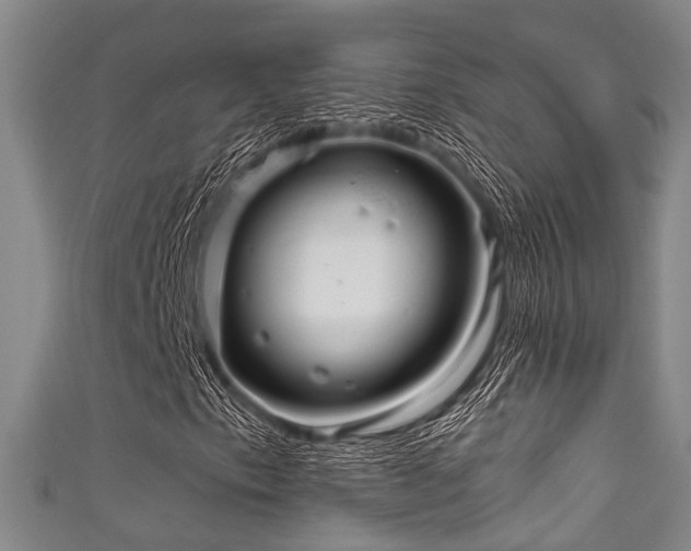 X0000111591153200907161447