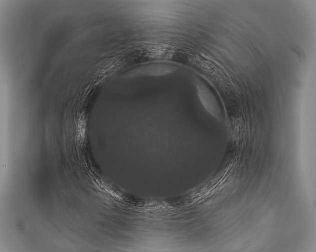 X0000111591154200907161447