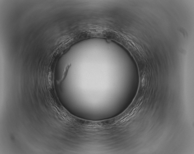 X0000111591156200907161447