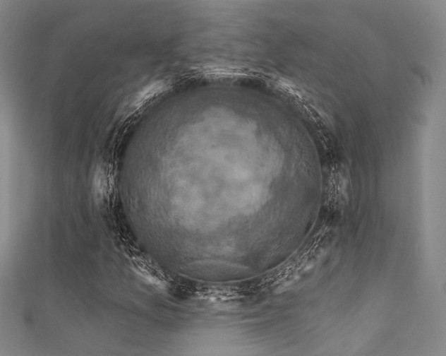 X0000111591157200907161447