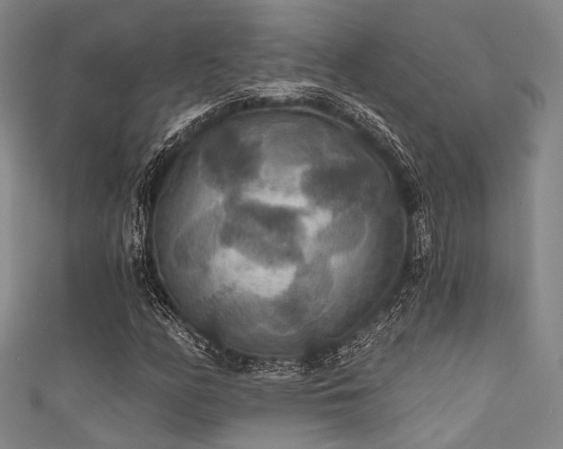 X0000111591158200907161447