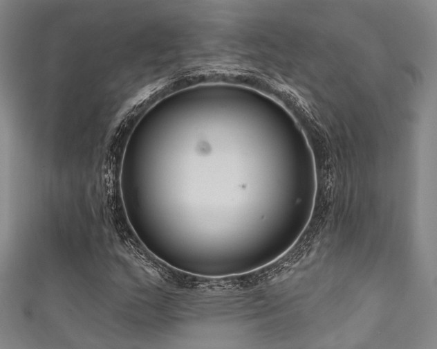 X0000111591159200907161447