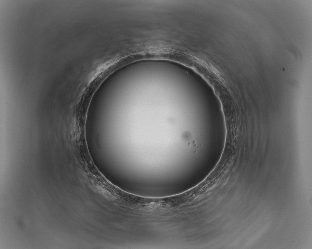 X0000111591160200907161447