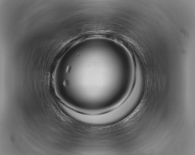 X0000111591161200907161447