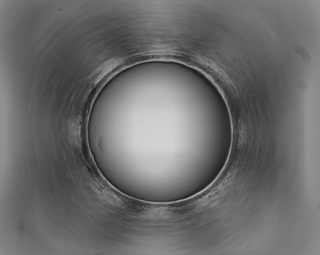 X0000111591162200907161447