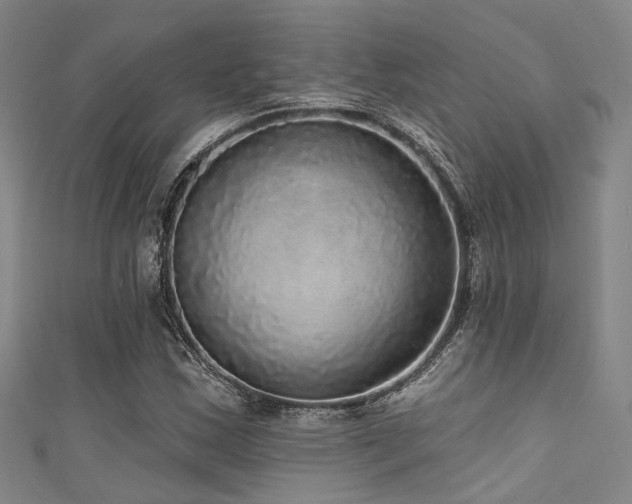 X0000111591163200907161447