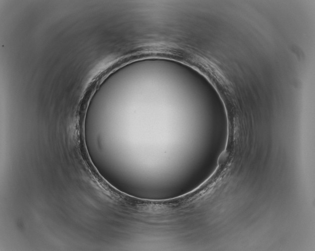 X0000111591164200907161447