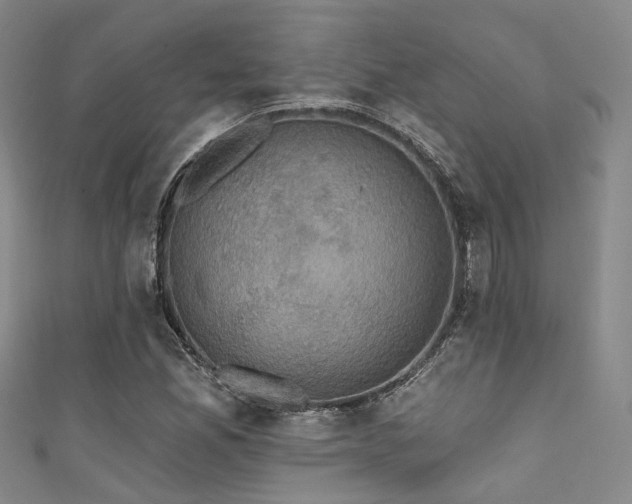 X0000111591165200907161447