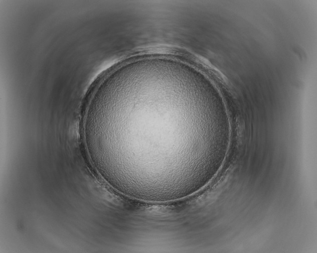 X0000111591166200907161447