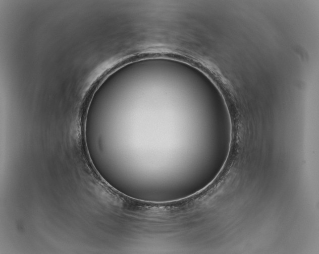 X0000111591167200907161447