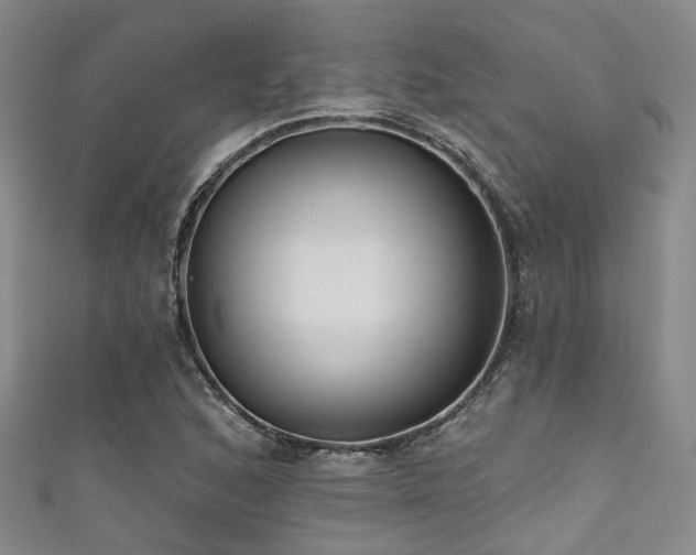 X0000111591168200907161447