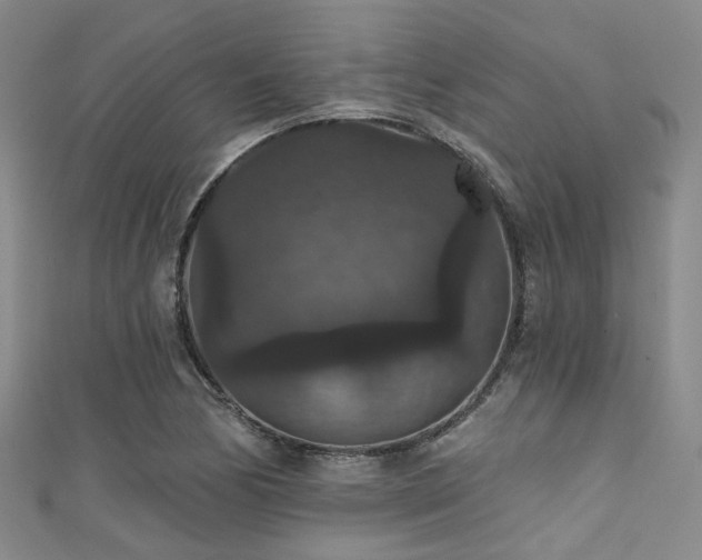 X0000111591170200907161447