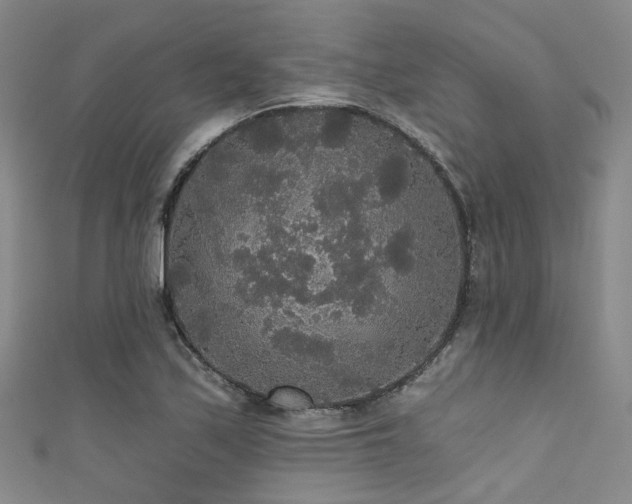 X0000111591171200907161447