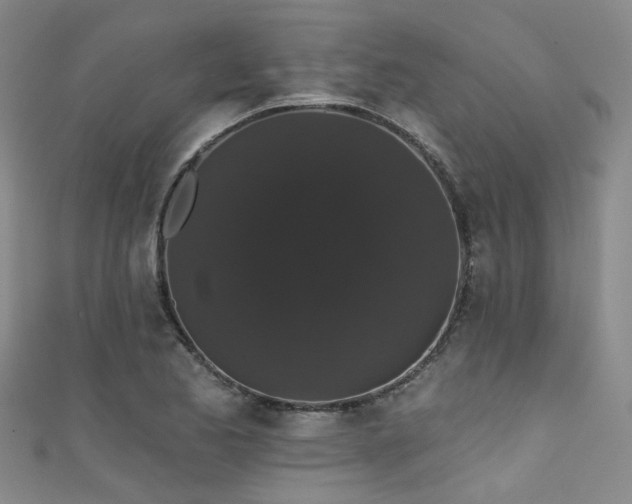 X0000111591173200907161447